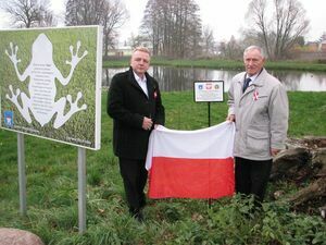 Dąb na rocznicę odzyskania niepodległości	