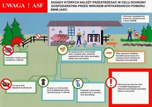 Gmina i Miasto Raszków objęta ŻÓŁTĄ strefą ochronną z powodu zagrożenia ASF!