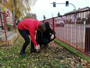 Projekt "Krokus"