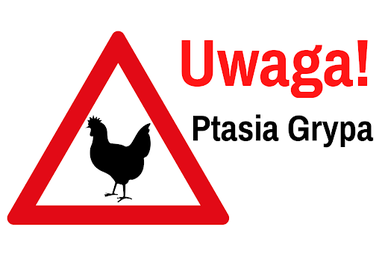 Uwaga - Ptasia Grypa