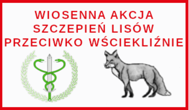 Wiosenna akcja szczepień lisów przeciwko wściekliźnie - 7-9 kwietnia 2022r.