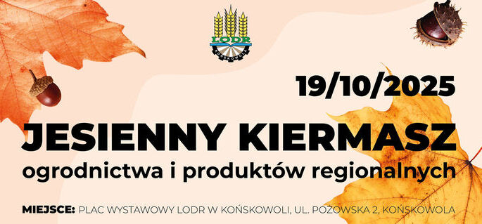 Zdjęcie Artykułu