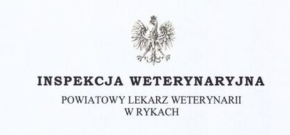 Zdjęcie Artykułu