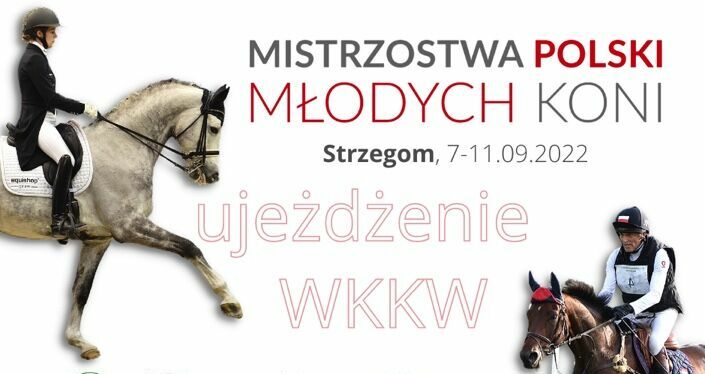 Młode konie rywalizują w Morawie o tytuły mistrzów Polski