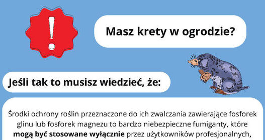 Zdjęcie Artykułu