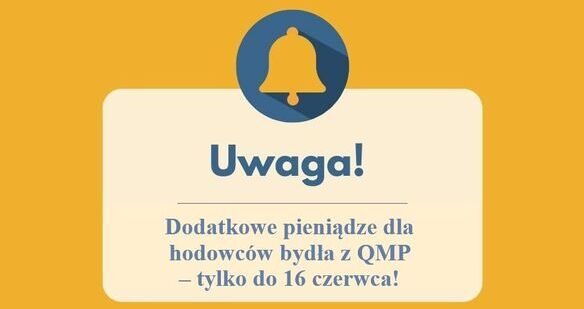 Ekoschemat „Dobrostan zwierząt”. Dodatkowe pieniądze dla hodowców bydła z QMP – tylko do 16 czerwca!