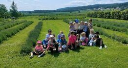 Projekt ekologiczny „Edukacja ekologiczna od najmłodszych lat w gminie Strzegom” w Publicznym Przedszkolu nr 4 im. Pszczółki Mai w Strzegomiu