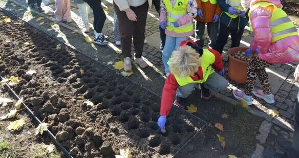 Pola Nadziei w Strzegomiu po raz drugi