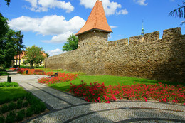 Zdjęcie historycznego muru