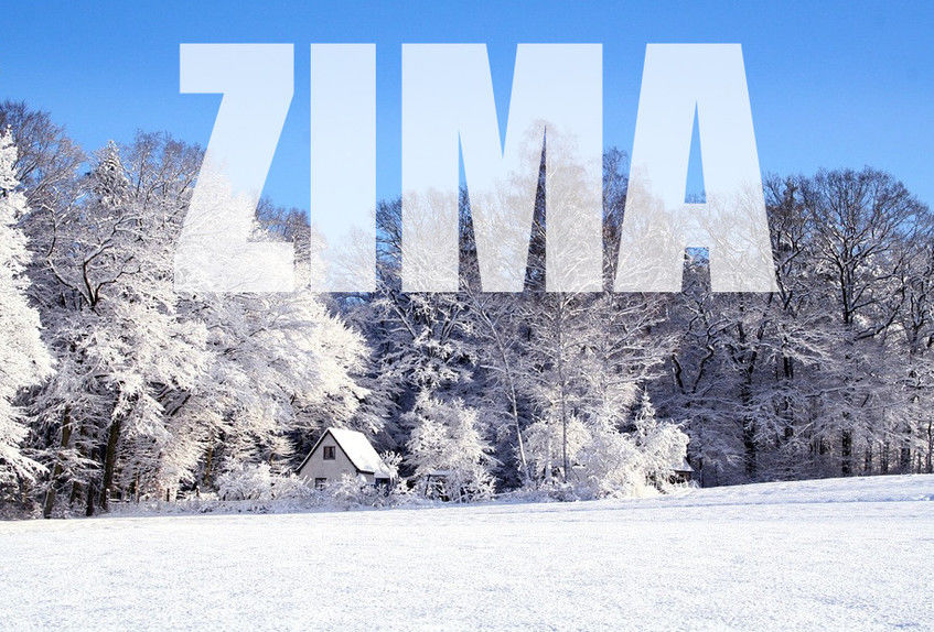Las w śniegu z napisem ZIMA
