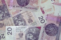 Na zdjęciu banknoty dwudziestu złotowe