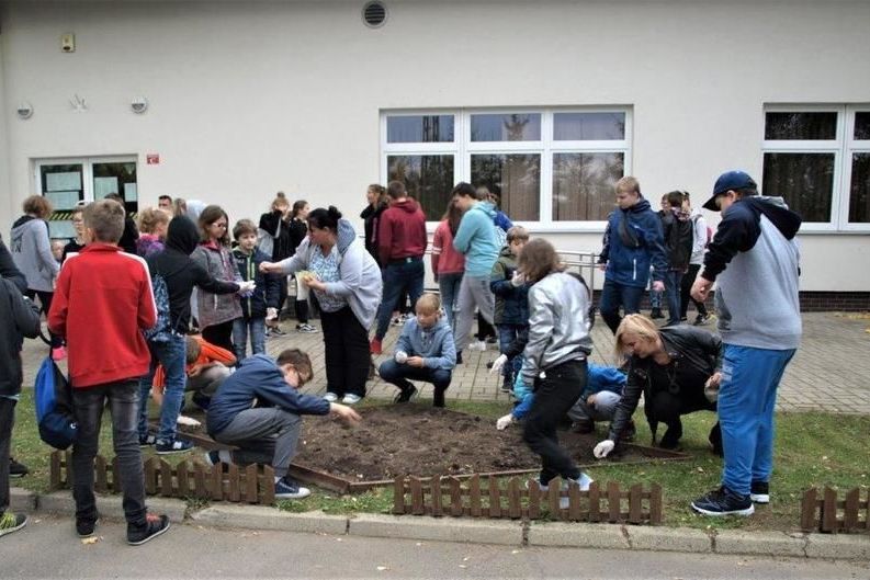 Na zdjęciu grupa młodzieży sadząca cebulki żonkili