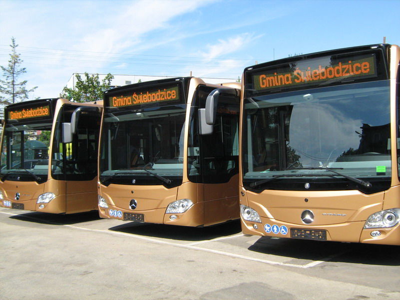 Trzy autobusy w rzędzie