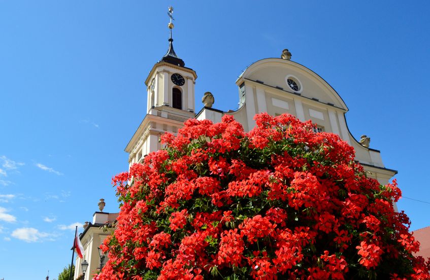 Zdjęcie kwiatów czerwonych w tle architektura wieży