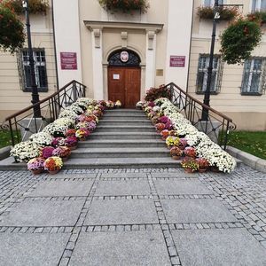 Zdjęcie przedstawia wejście do Ratusza udekorowane chryzantemami. 