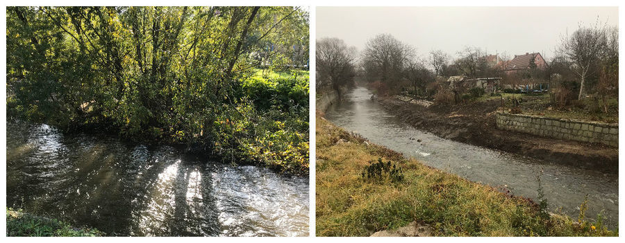 Rzeka Pełcznica przed i po pracach porządkowyc