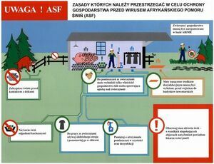 Ulotka informacyjna, poziomy prostokąt