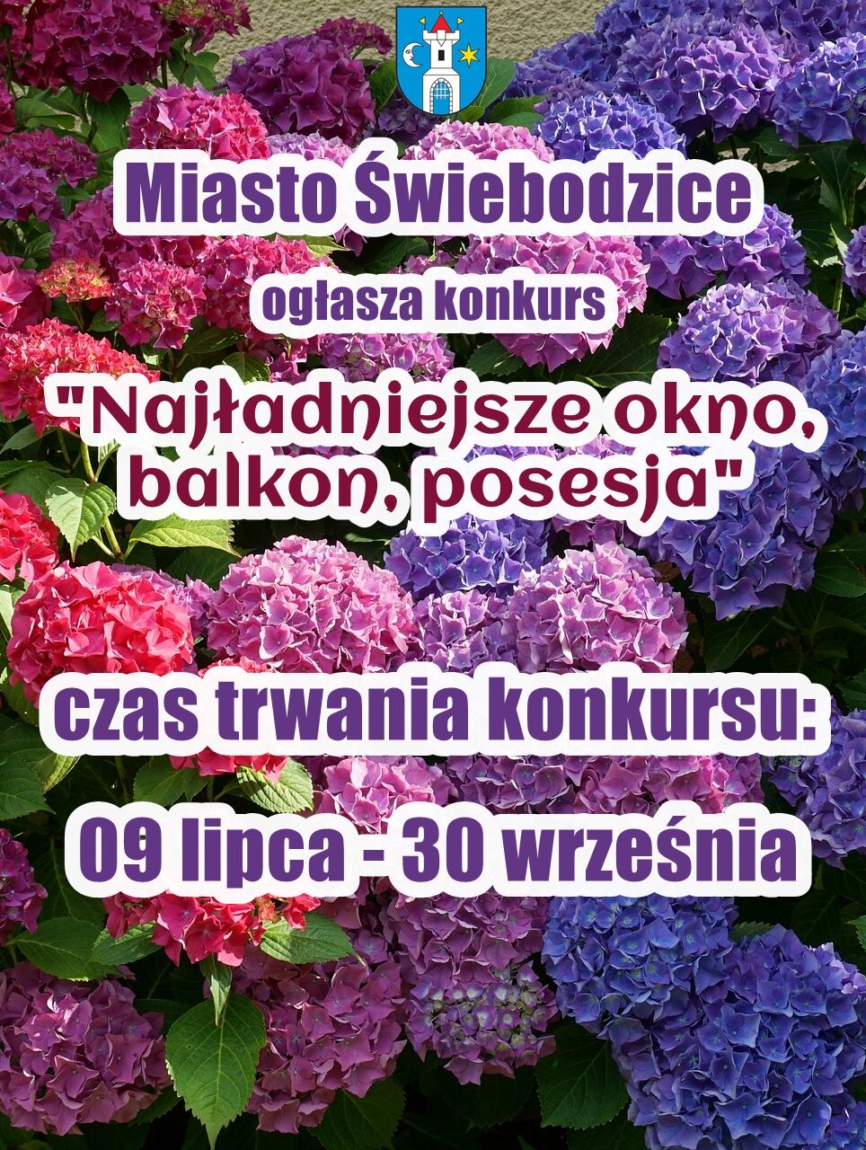 Plakat pionowy różowo-fioletowy zapraszający do udziału w konkursie na najładniejsze okno, balkon, posesje.