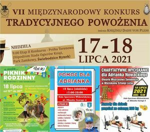 Kolaż połączonych plakatów informacyjnych wydarzeń weekendowych. 