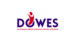 Logo Dowes, fioletowy napis na białym tle