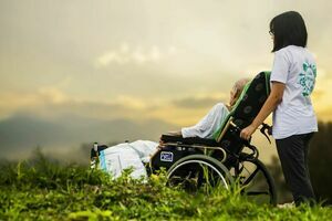 Na zdjęciu widać osobę pchającą wózek inwalidzki po łące.