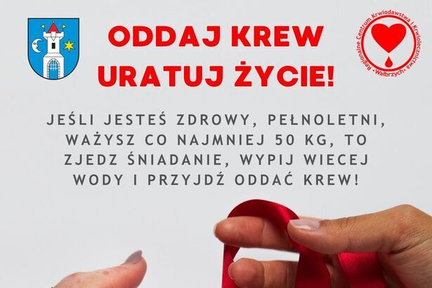 Zdjęcie Artykułu