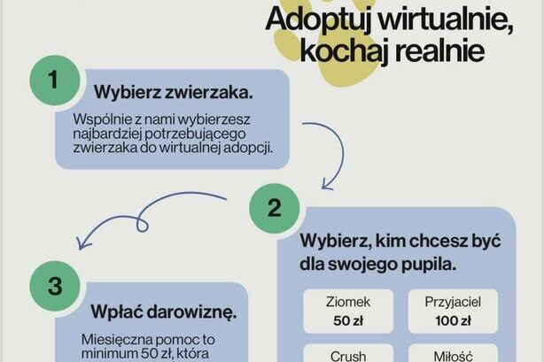 Wirtualna adopcja – realna pomoc