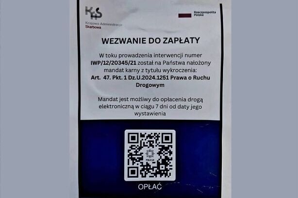 Zdjęcie Artykułu