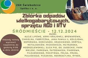 Zbiórka odpadów wielkogabarytowych w Śródmieściu