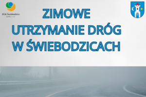 Zimowe utrzymanie dróg w Świebodzicach