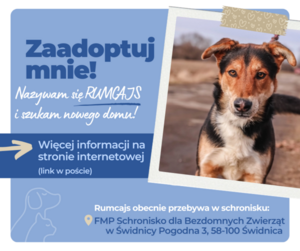 Zaadoptuj Rumcajsa