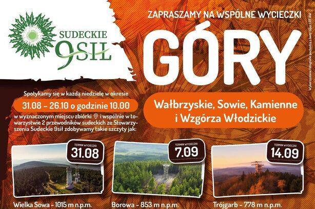 Zdjęcie Artykułu