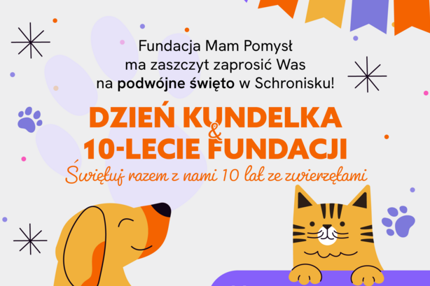 Zdjęcie Artykułu