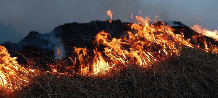 Grafika przedstawiająca wypalanie traw