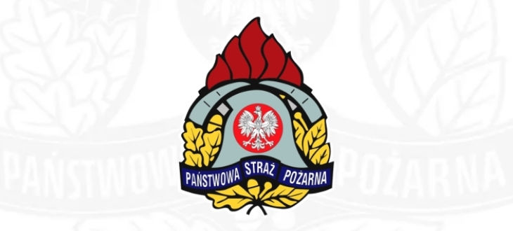 Logo na białym tle państwowa straż pożarna