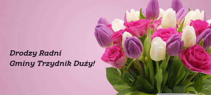 Zdjęcie bukietu tulipanów w odcieniach fioletu, różu i białego na różowym tle z napisem "Drodzy Radni Gminy Trzydnik Duży!".