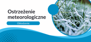 Ostrzeżenie meteorologiczne o oblodzeniu. Grafika z makro zdjęciem pokrytych szronem traw.