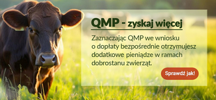 Krowa stoi na zielonym polu oświetlonym słońcem, obok napisy dotyczące dopłat QMP i dobrostanu zwierząt, z przyciskiem zachęcającym do sprawdzenia szczegółów.