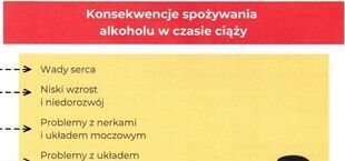 Ilustracja przedstawia konsekwencje spożywania alkoholu w czasie ciąży. Wymieniono m.in. wady serca, uszkodzenia wzroku i słuchu oraz problemy neurologiczne u dziecka. Podkreślono znaczenie abstynencji i odpowiedzialności.