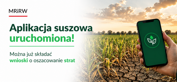 Smartfon z ekranem aplikacji i logo liści, trzymany w ręce na tle pola uprawnego o zachodzie słońca. Obok napis informujący o aplikacji do składania wniosków o oszacowanie strat suszowych.