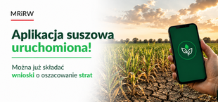 Smartfon z ekranem aplikacji i logo liści, trzymany w ręce na tle pola uprawnego o zachodzie słońca. Obok napis informujący o aplikacji do składania wniosków o oszacowanie strat suszowych.