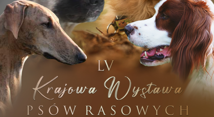 Grafika z plakatu dwa psy i nazwa LV Krajowa Wystawa PSÓW RASOWYCH