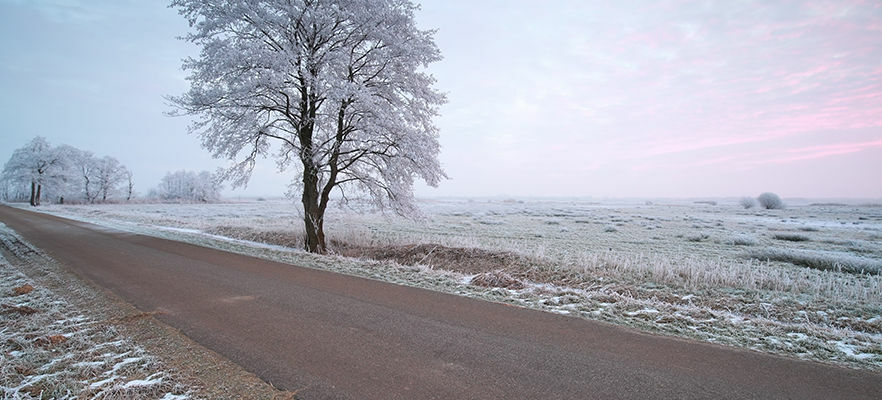 Zimowy krajobraz przy drodze, z drzewem i polami pokrytymi szronem, pastelowy różowo-niebieski świt na niebie.