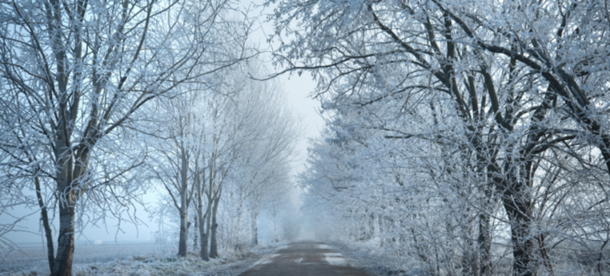 Droga w zimowym lesie pokryta śniegiem z drzewami o oblodzonych gałęziach po obu stronach.