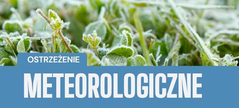 Zbliżenie na rośliny pokryte warstwą szronu. W dolnej części obrazka znajduje się niebieski pasek z napisem "OSTRZEŻENIE METEOROLOGICZNE".