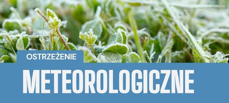 Zbliżenie na rośliny pokryte warstwą szronu. W dolnej części obrazka znajduje się niebieski pasek z napisem "OSTRZEŻENIE METEOROLOGICZNE".
