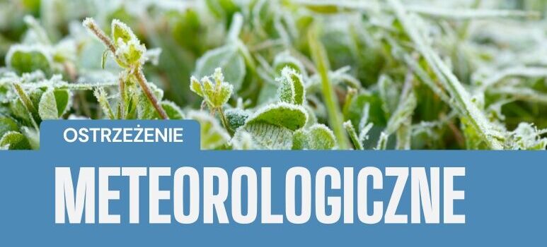 Zbliżenie na rośliny pokryte warstwą szronu. W dolnej części obrazka znajduje się niebieski pasek z napisem "OSTRZEŻENIE METEOROLOGICZNE".