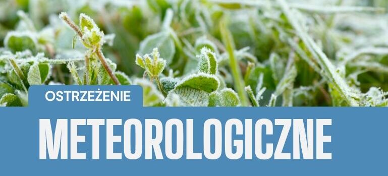 Zbliżenie na rośliny pokryte warstwą szronu. W dolnej części obrazka znajduje się niebieski pasek z napisem "OSTRZEŻENIE METEOROLOGICZNE".