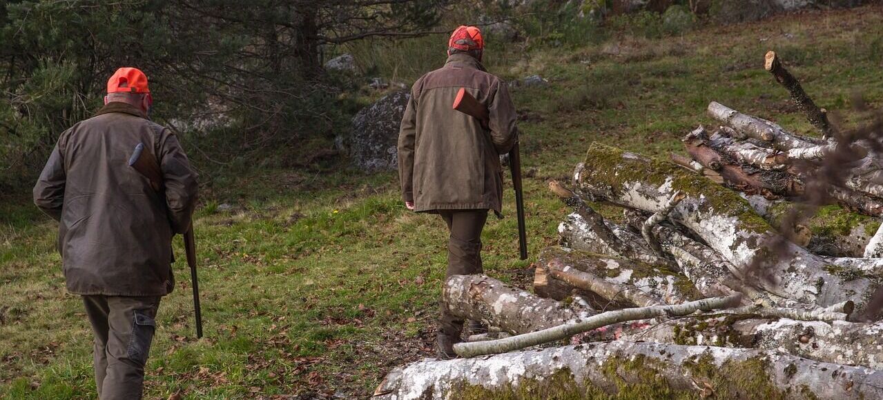 Dwóch myśliwych w czerwonych czapkach idzie przez las obok stosu ściętych drzew. Noszą ciemne kurtki, a każdy z nich trzyma broń. Otoczenie jest zielone, z drzewami i opadłymi liśćmi.