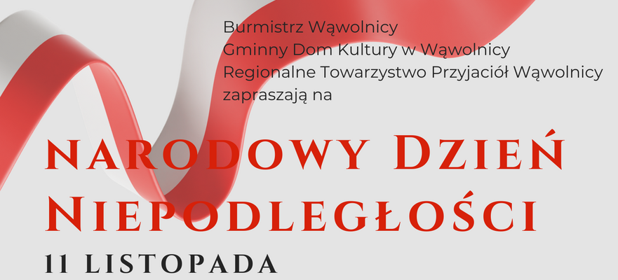 Plakat promujący obchody Narodowego Dnia Niepodległości w Wąwolnicy. Zawiera program wydarzeń, takich jak złożenie kwiatów, przemarsz do bazyliki, akademia szkolna i wystawa. Na dole loga organizatorów.